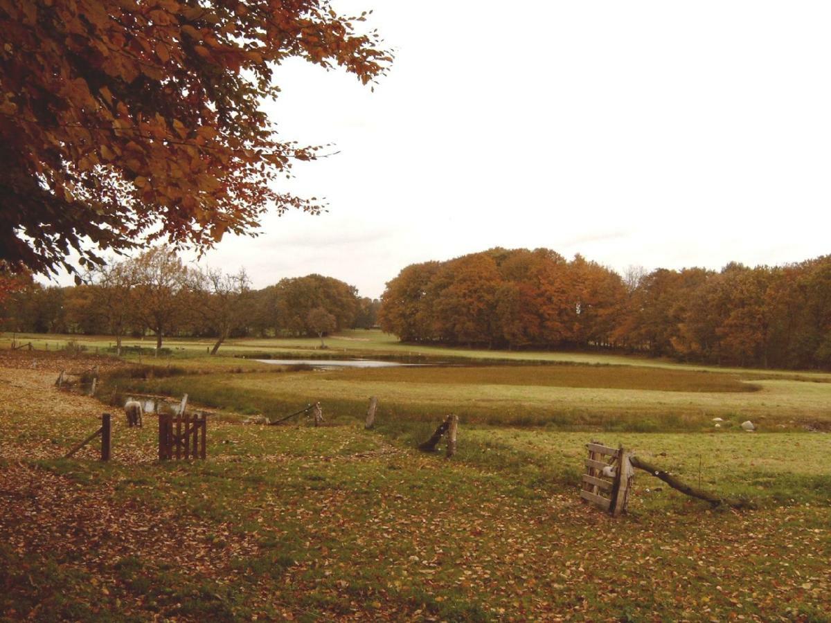 Hoeve Springendal Erf&Bron Hezingen Exteriér fotografie